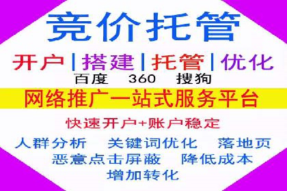 谷歌SEM案例研究：数据分析与效果评估